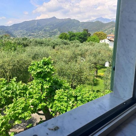La Madonnina Bed and Breakfast Querceta Buitenkant foto