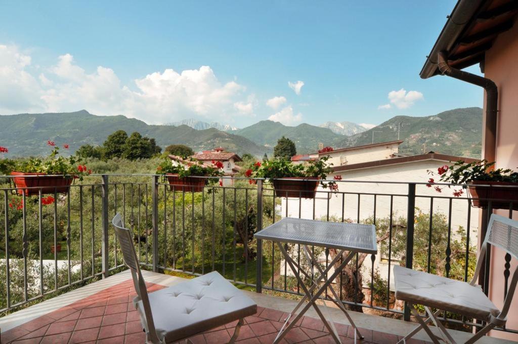 La Madonnina Bed and Breakfast Querceta Buitenkant foto