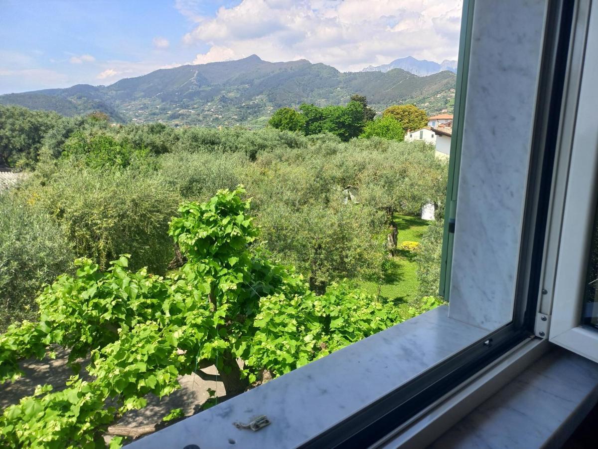 La Madonnina Bed and Breakfast Querceta Buitenkant foto