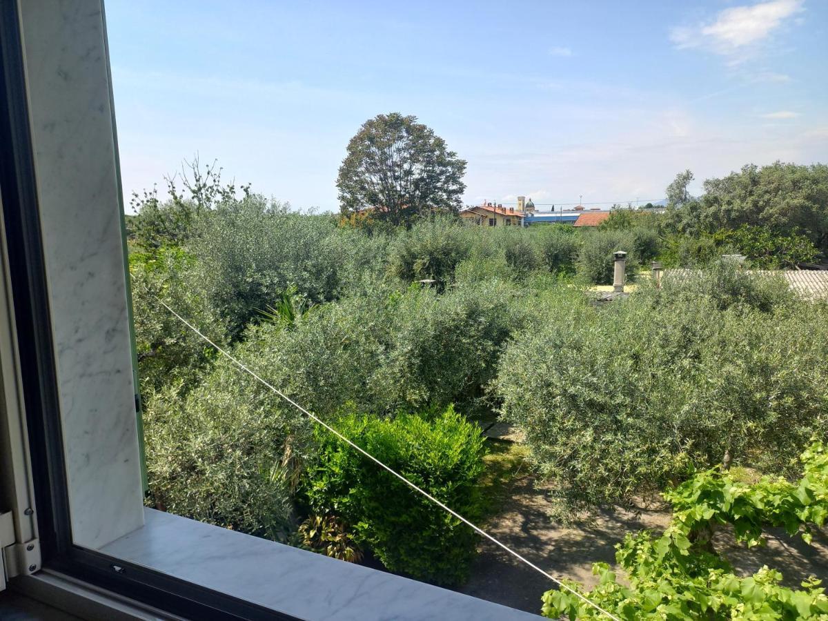 La Madonnina Bed and Breakfast Querceta Buitenkant foto